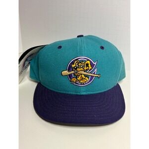 CHARLESTON RIVER DOGS New Era 59Fifty‎ Ball Hat 7 3/8 MiLB Made in the USA